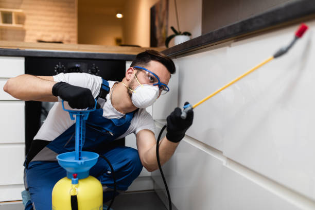 Best Termite Control Services  in East Williston, NY