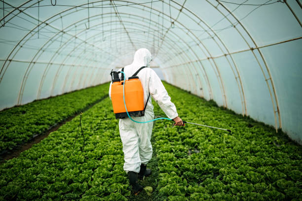 Best Pest Control Near Me  in East Williston, NY