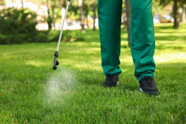 Best Best Pest Control Companies  in East Williston, NY