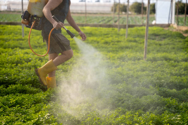 Best Pest Inspection Near Me  in East Williston, NY