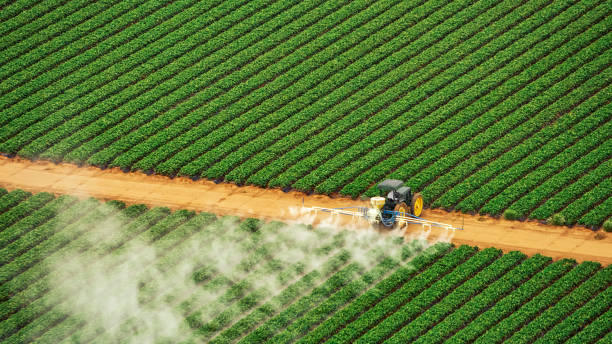 Best Best Pest Control Companies  in East Williston, NY
