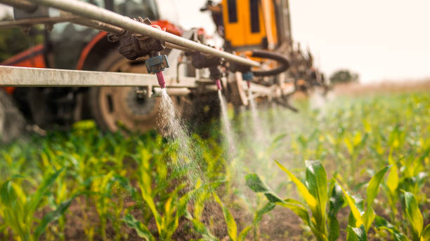 Best Mosquito Control Services  in East Williston, NY