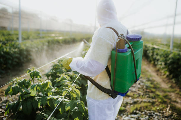 Best Pest Control for Businesses  in East Williston, NY